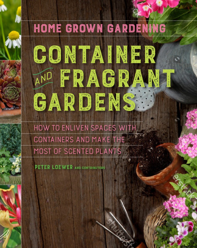 The first steps to fragrant gardening
