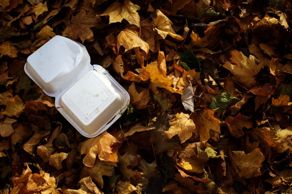Mealworms can safely eat toxin-laden polysytrene