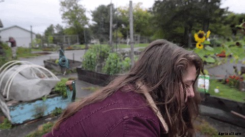 I tried to prep my raised bed garden for winter. Here’s how it went.