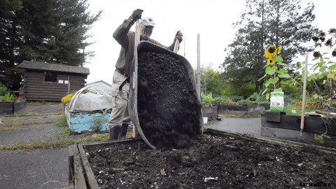 I tried to prep my raised bed garden for winter. Here’s how it went.