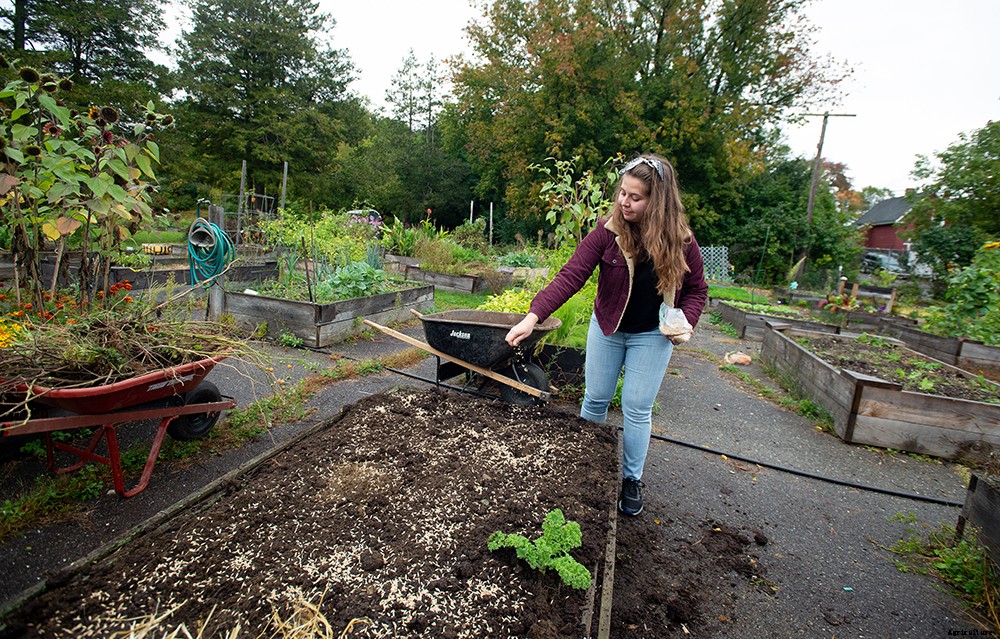 I tried to prep my raised bed garden for winter. Here’s how it went.