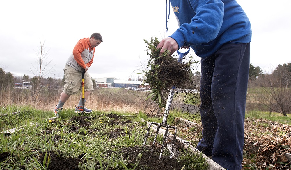 A checklist for garden winter prep