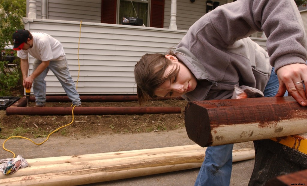 A checklist for garden winter prep