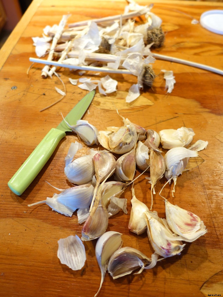 A checklist for garden winter prep