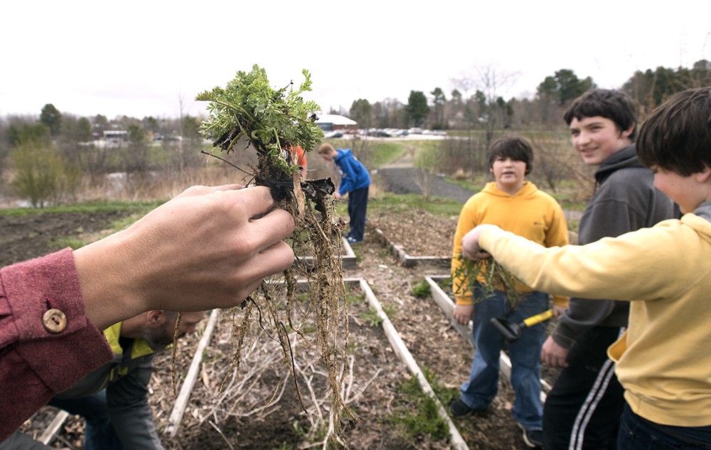 How to prepare a raised garden bed for winter