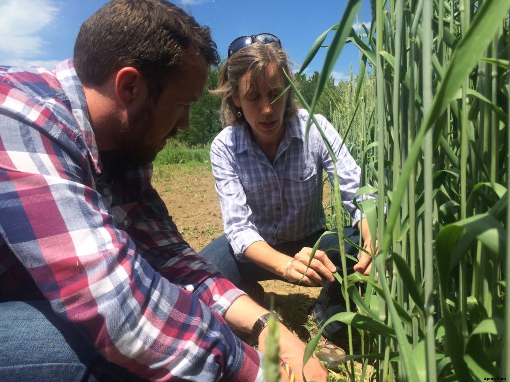 Sustainable farming practices explained