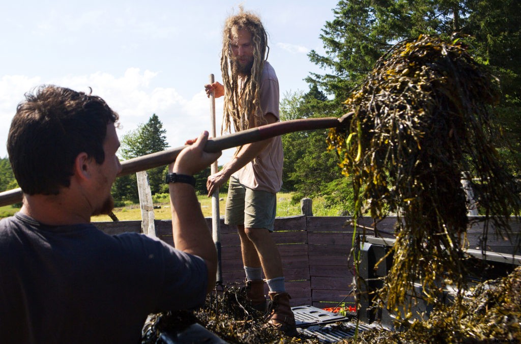 Sustainable farming practices explained