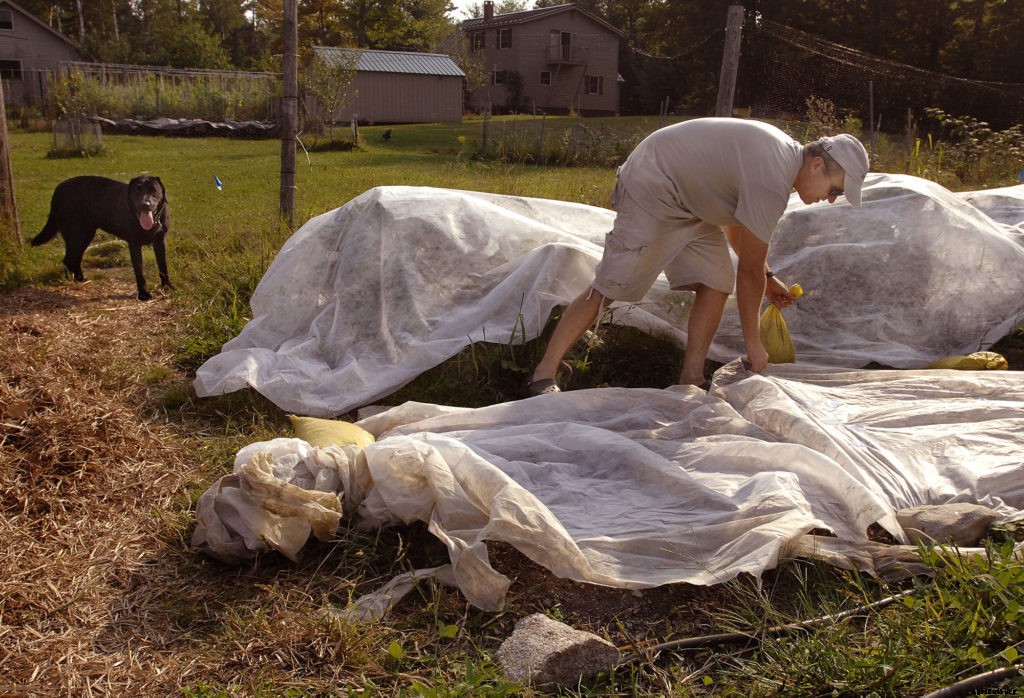 Sustainable farming practices explained