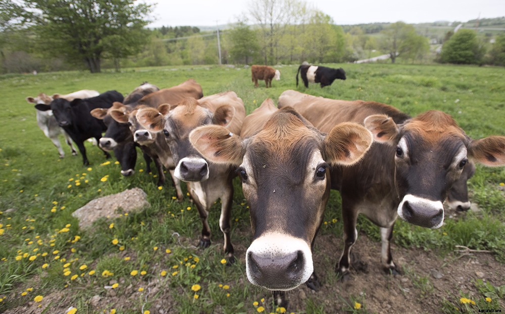 Sustainable farming practices explained