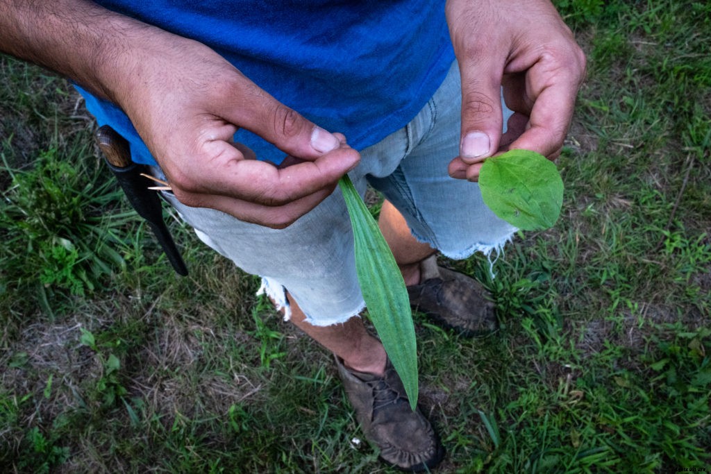 Sustainable farming practices explained