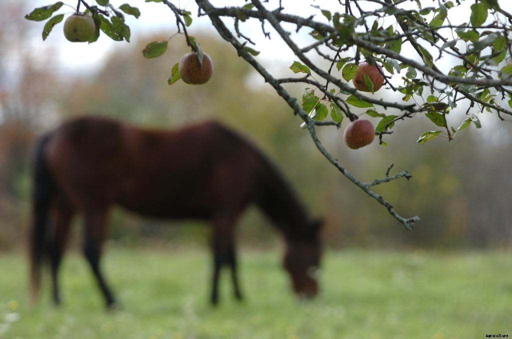 Sustainable farming practices explained