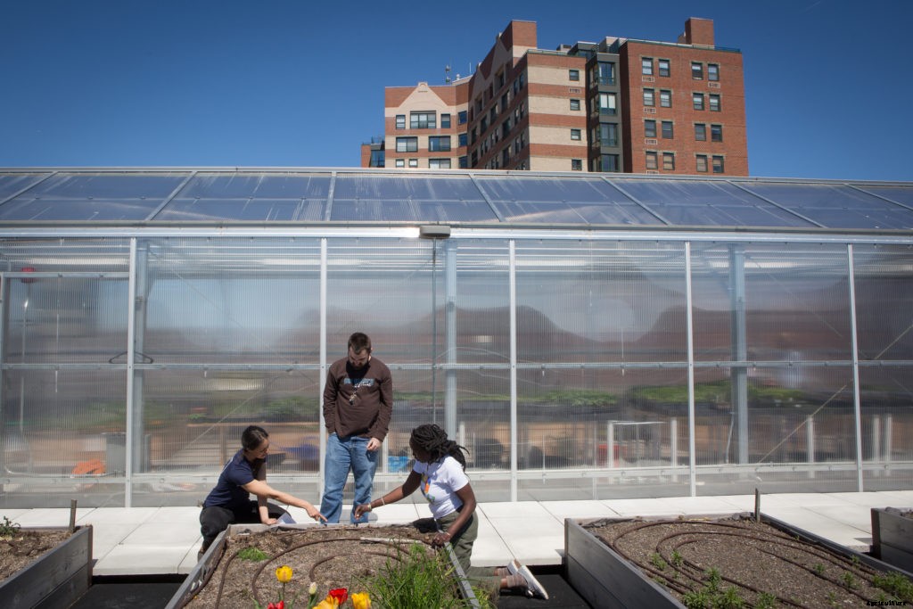 Sustainable farming practices explained