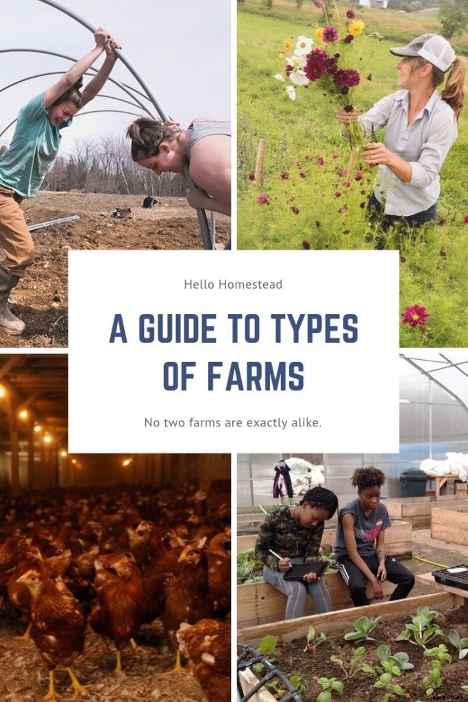 A guide to types of farms