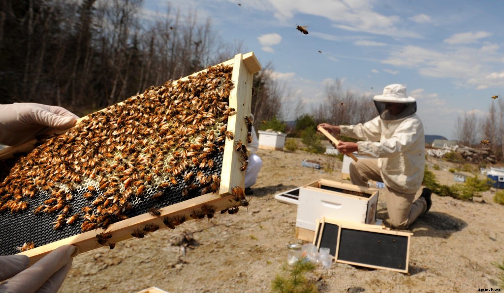 A guide to types of farms