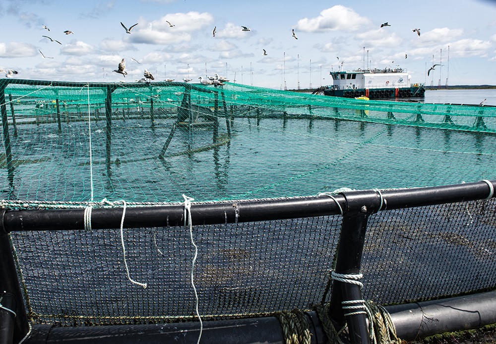 A guide to types of farms