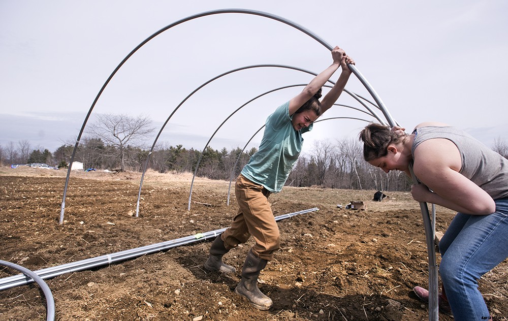 A guide to types of farms