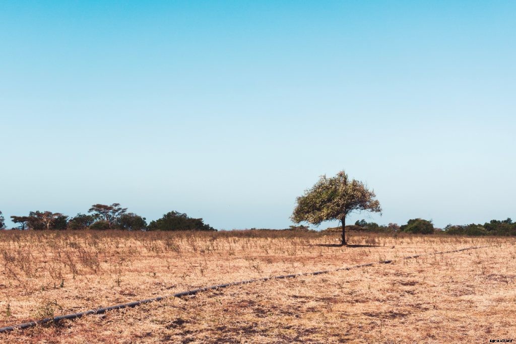 A guide to types of farms