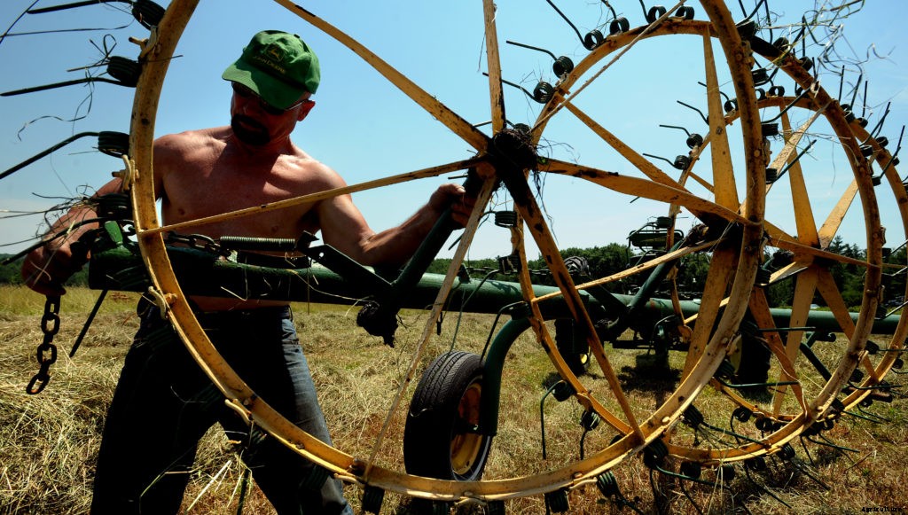 A guide to types of farms