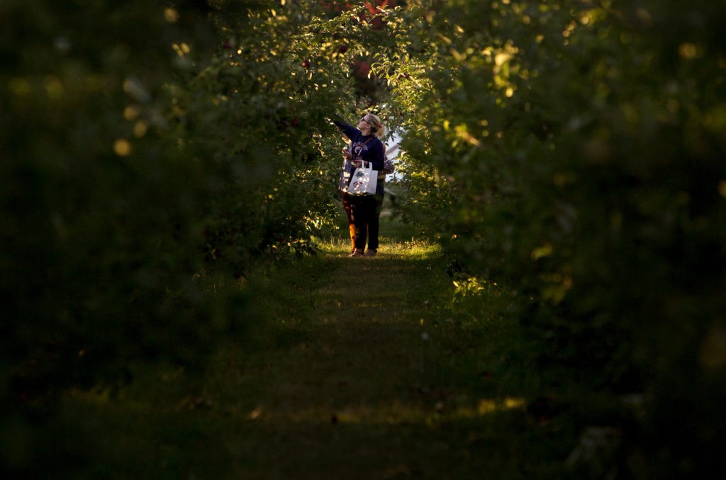A guide to types of farms