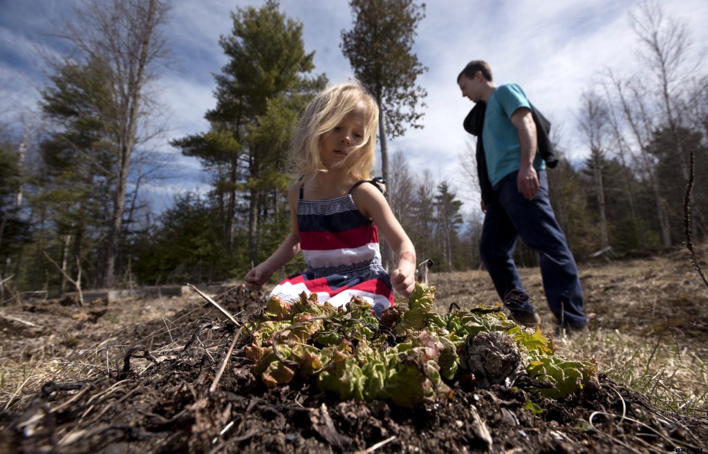 A guide to types of farms