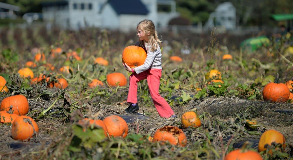 A guide to types of farms