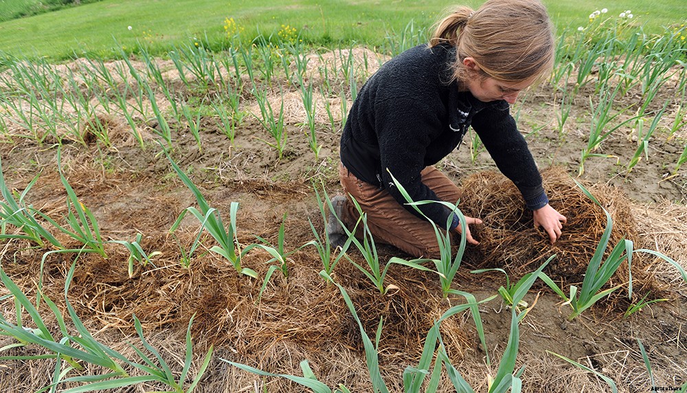 What is regenerative agriculture?