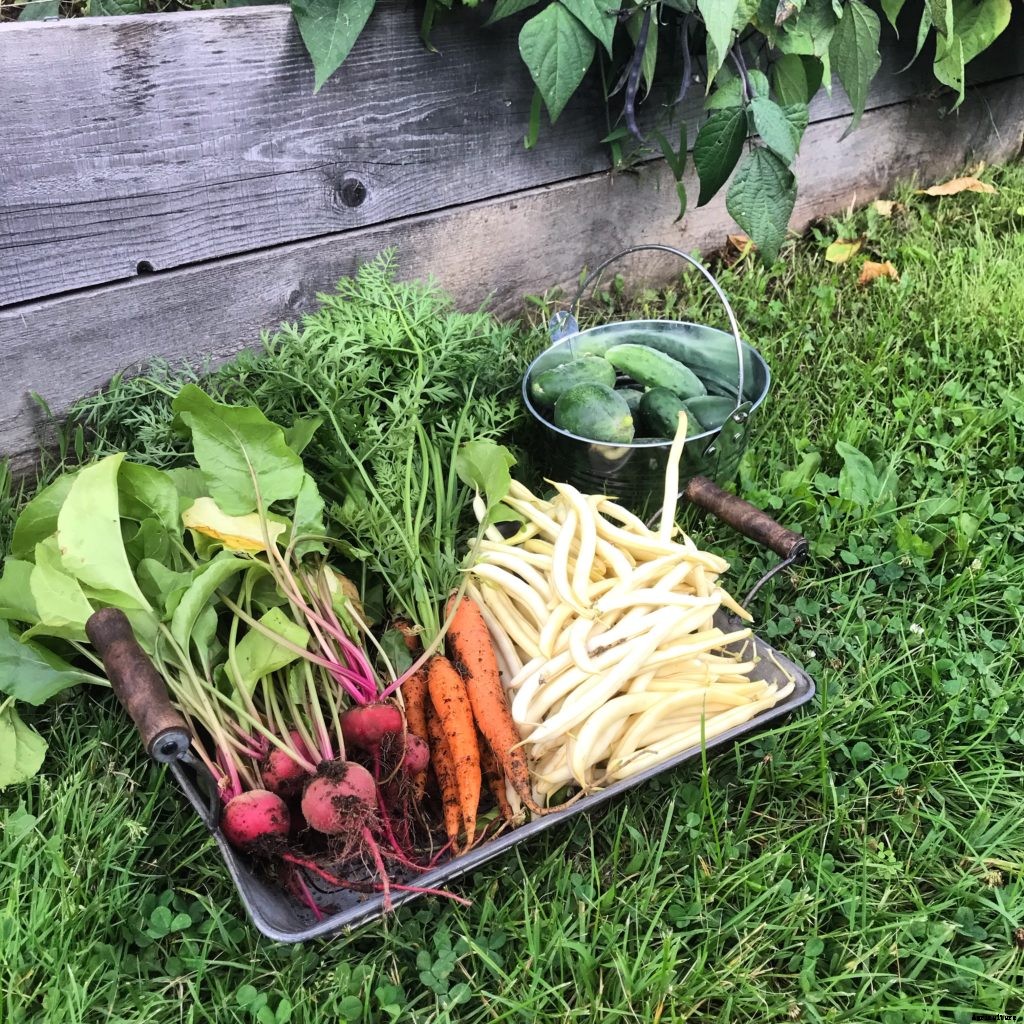 Welcome to Farm to Kitchen Table