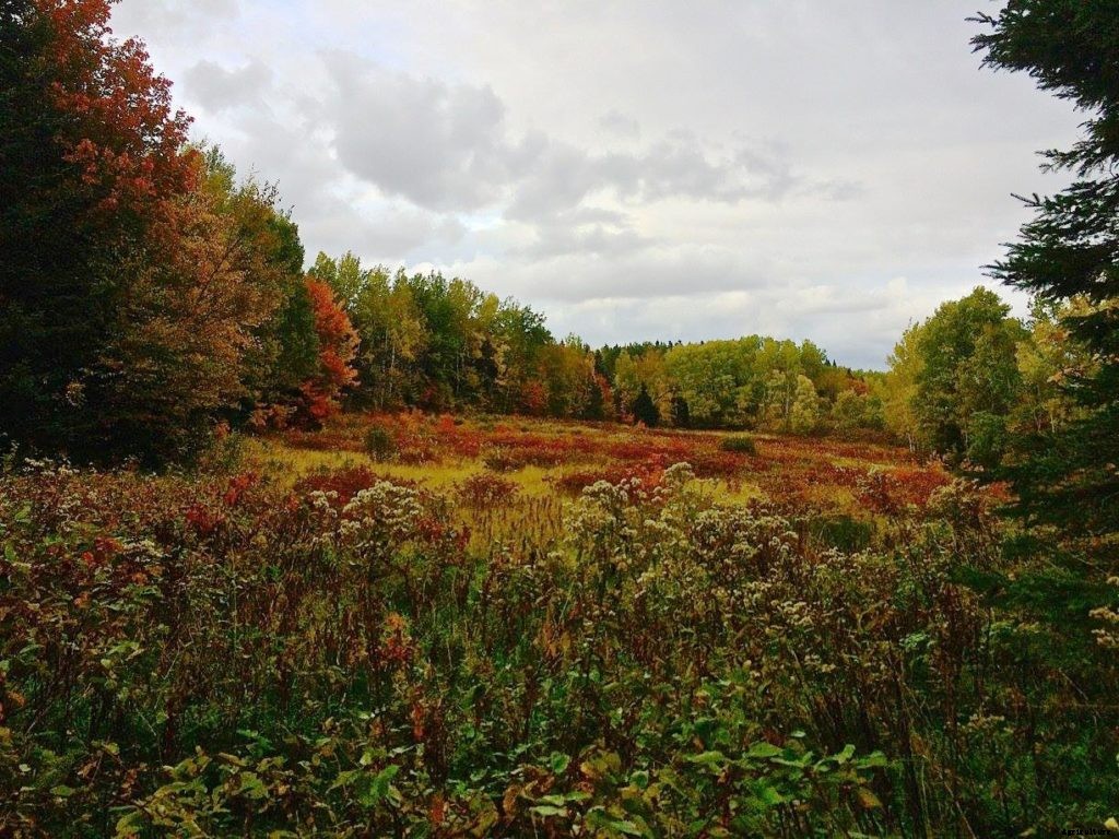 If you enjoy food and clothing, you know why farmers are important