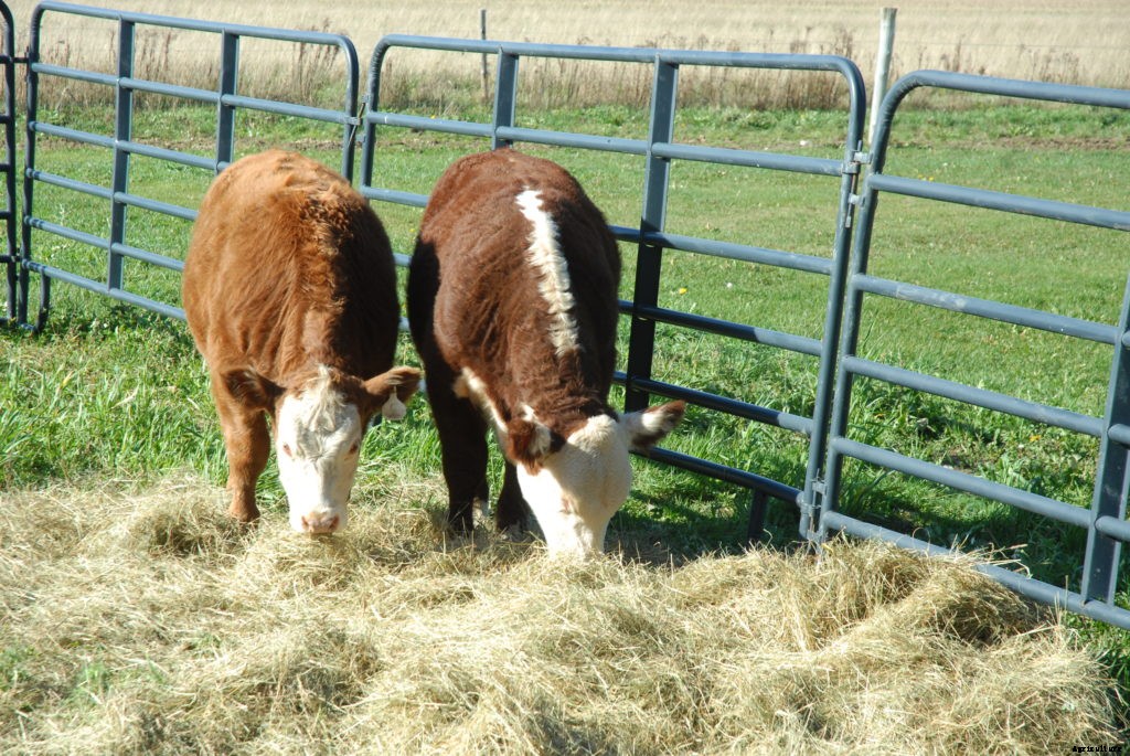 If you enjoy food and clothing, you know why farmers are important