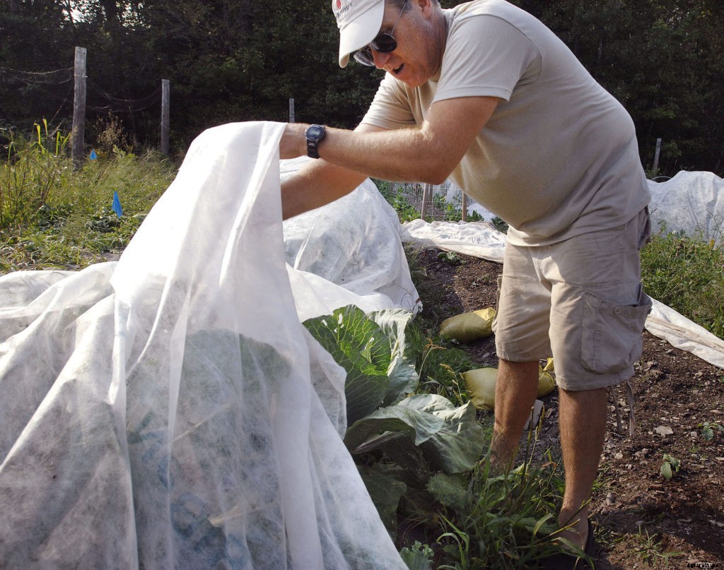 What is integrated pest management?