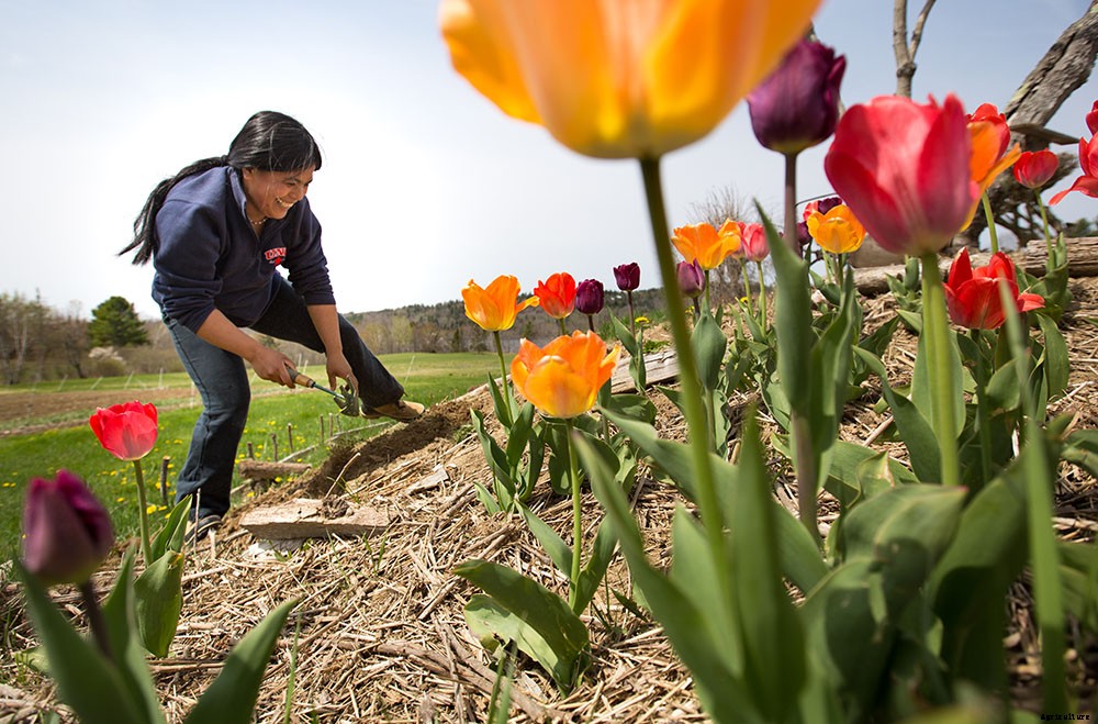 What is conservation tillage?