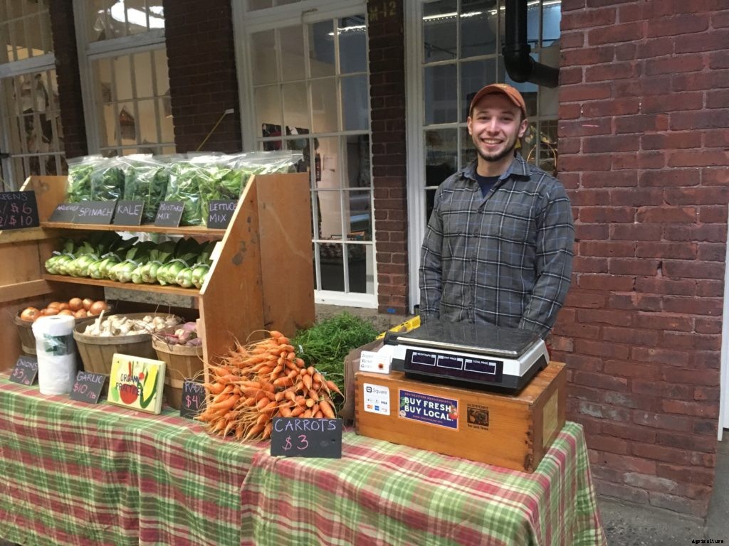 How to start a market garden