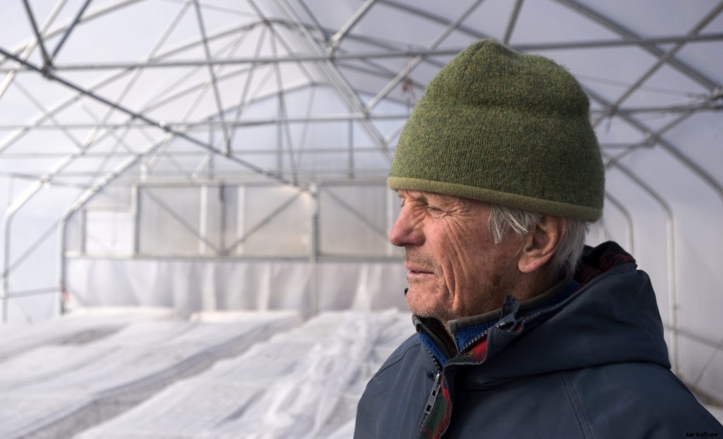 How to start a market garden