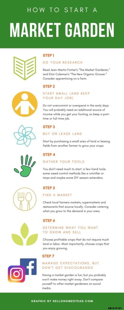 How to start a market garden