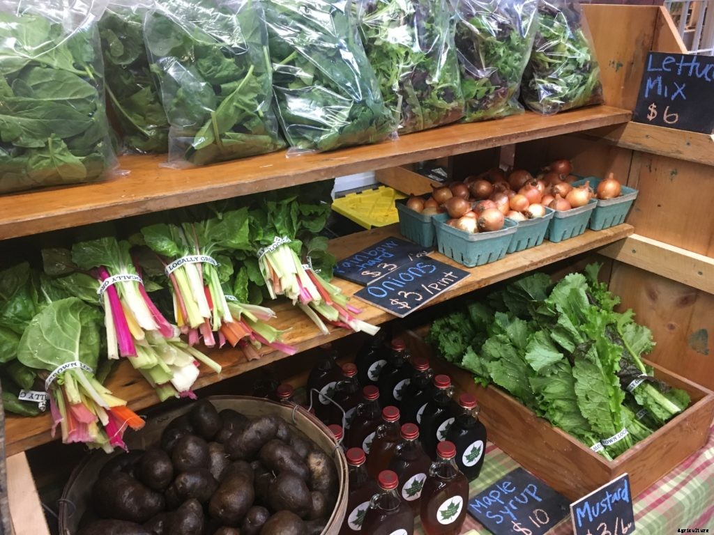 What is a market garden?