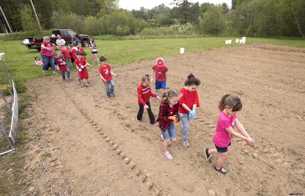 What are cover crops?