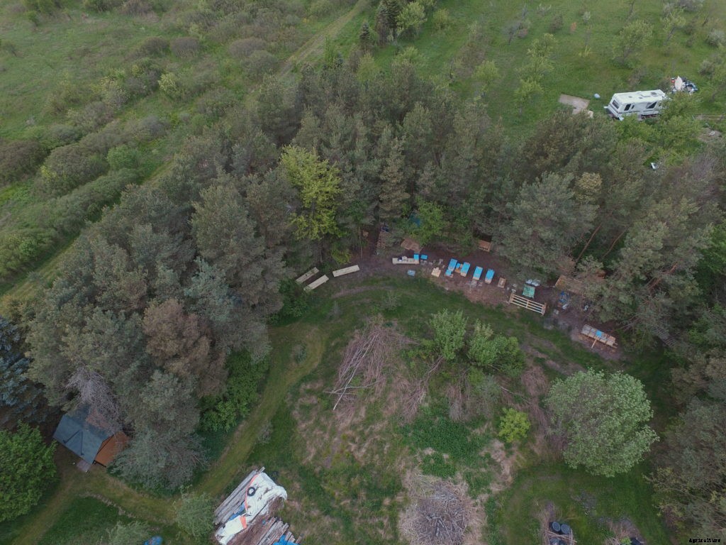 Is rewilding right for your homestead?