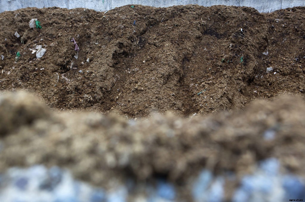 Essential techniques of permaculture