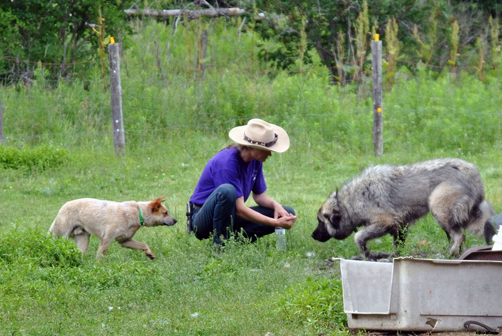 A look inside hobby farm life