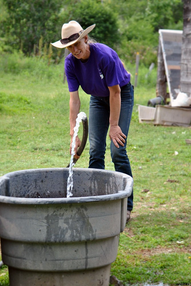 A look inside hobby farm life