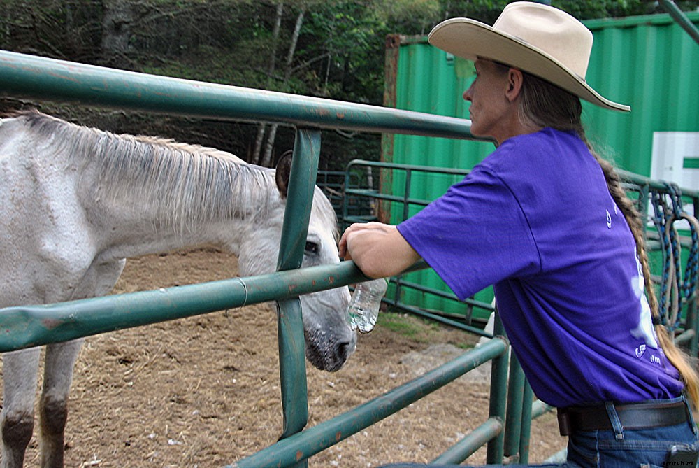 A look inside hobby farm life