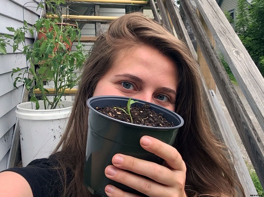 9 lessons from my first time growing seedlings