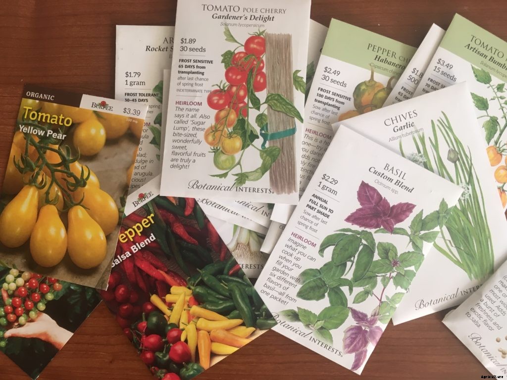 9 lessons from my first time growing seedlings