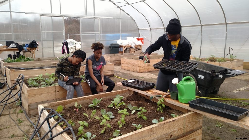 What is micro farming?