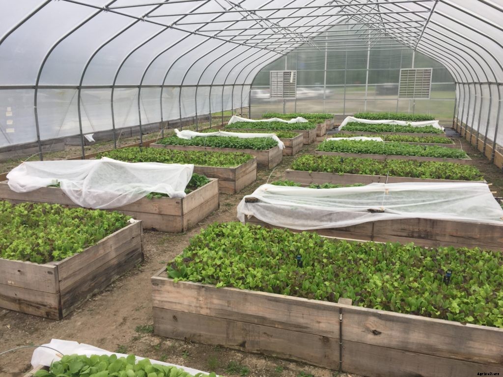 What is micro farming?