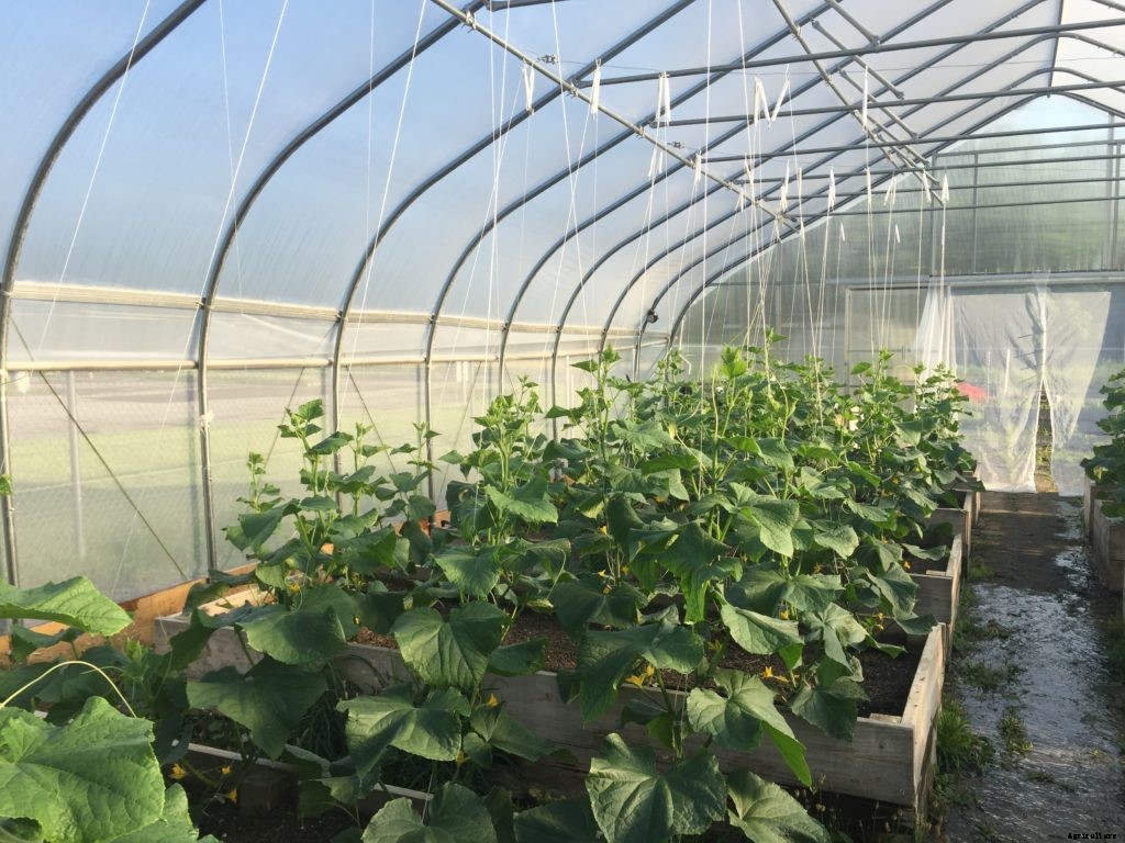 What is micro farming?