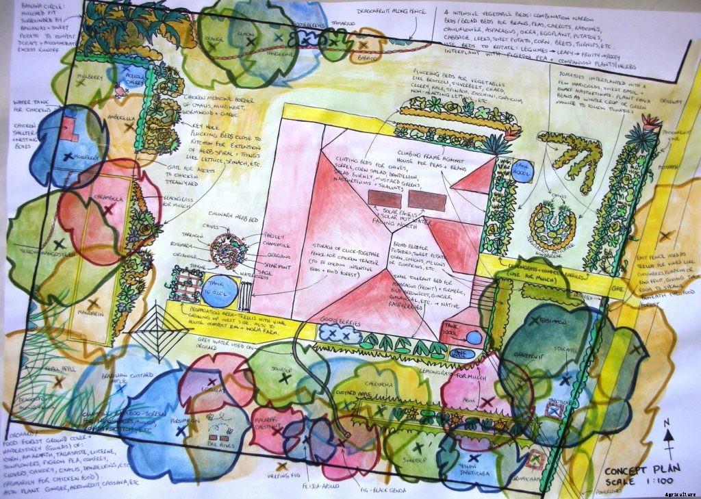 How to get started with permaculture