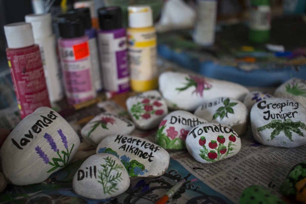 DIY plant markers for your garden