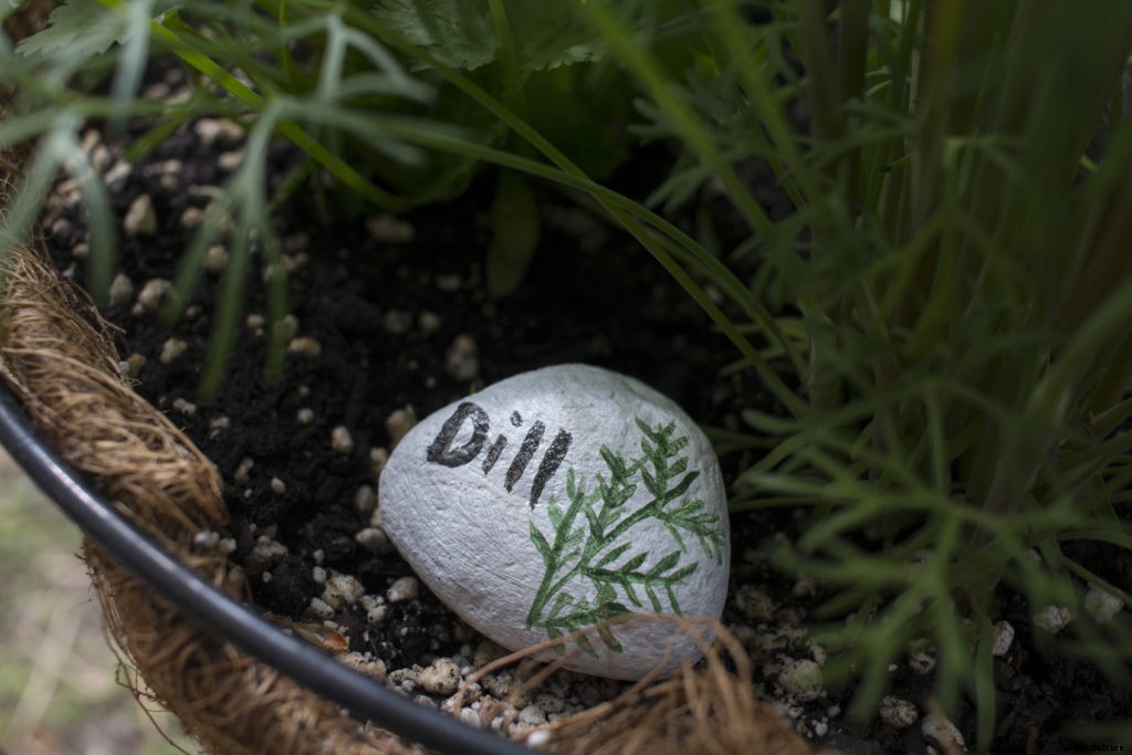 DIY plant markers for your garden