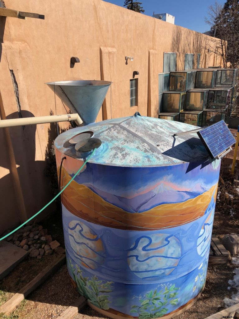 How to harvest rainwater